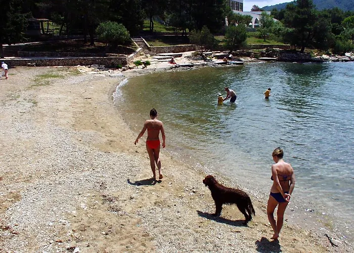 8780a Stari Grad (Hvar)
